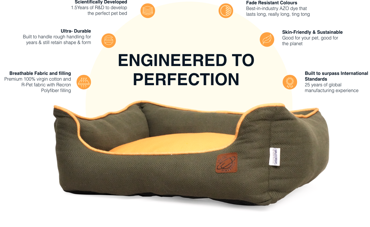 The range dog outlet beds